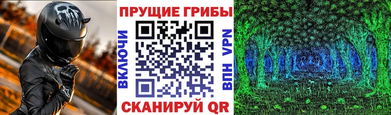 как найти наркотики  Гагарин  Галлюциногенные грибы мухоморы 