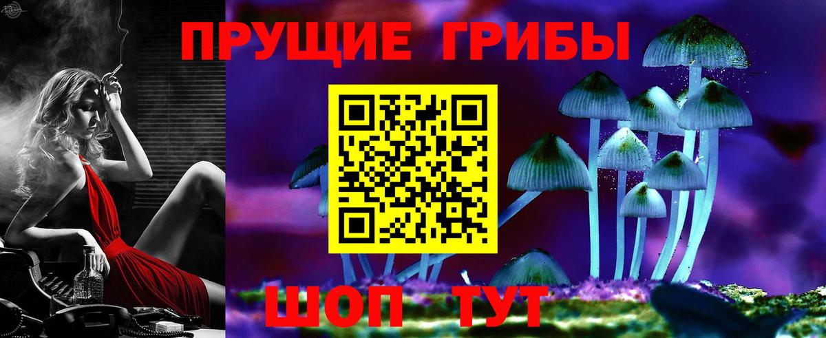Псилоцибиновые грибы GOLDEN TEACHER Гагарин